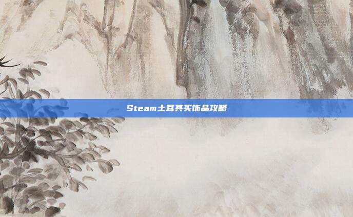Steam土耳其买饰品攻略