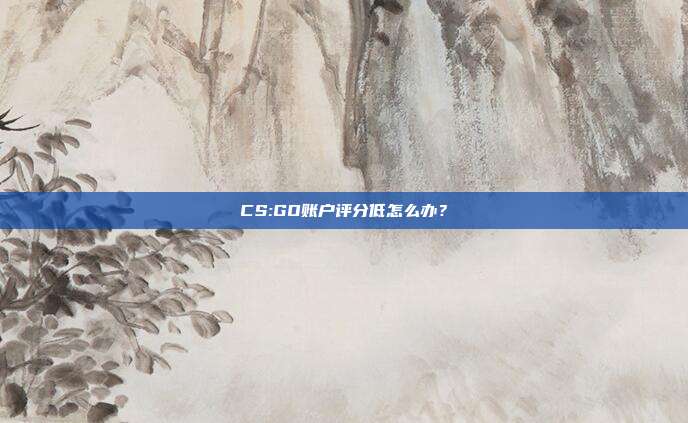 CS:GO账户评分低怎么办？