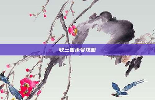 收三国杀号攻略
