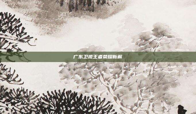广东卫视王者荣耀新解