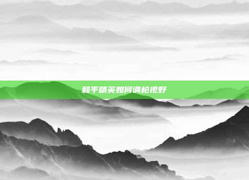 和平精英如何调枪视野