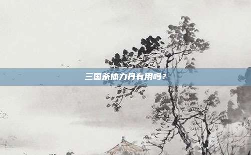 三国杀体力丹有用吗？