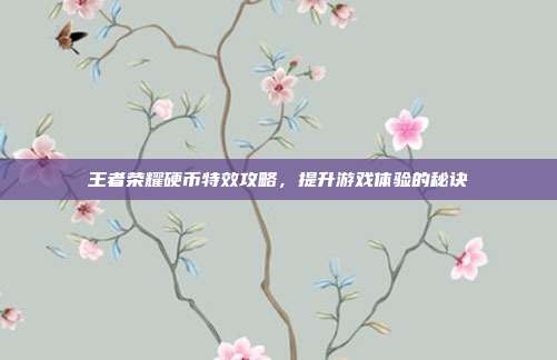 王者荣耀硬币特效攻略,提升游戏体验的秘诀