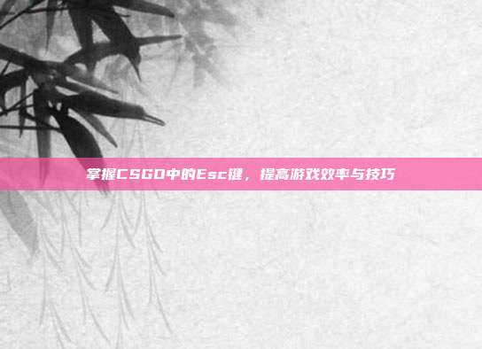 掌握CSGO中的Esc键，提高游戏效率与技巧