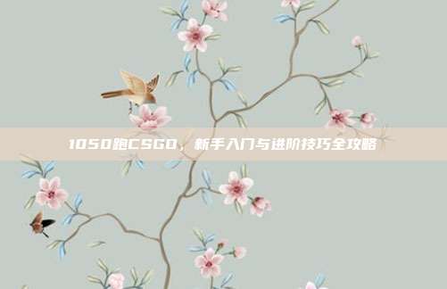 1050跑CSGO，新手入门与进阶技巧全攻略