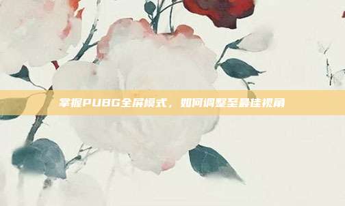 掌握PUBG全屏模式,如何调整至最佳视角