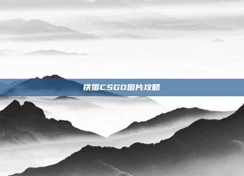 铁蛋CSGO图片攻略