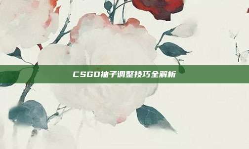 CSGO袖子调整技巧全解析
