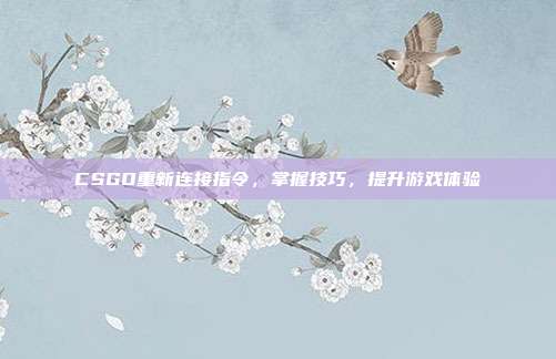 CSGO重新连接指令，掌握技巧，提升游戏体验