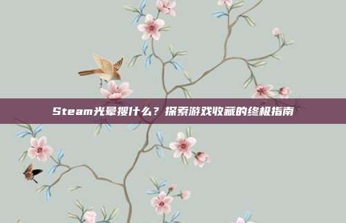 Steam光晕搜什么？探索游戏收藏的终极指南