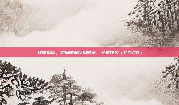 终极指南,如何精通反恐精英,全球攻势(CS:GO)