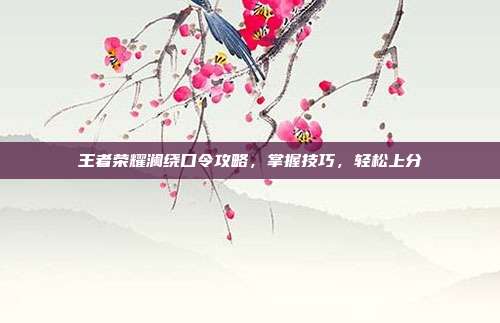 王者荣耀澜绕口令攻略,掌握技巧,轻松上分