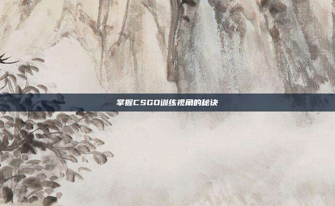 掌握CSGO训练视角的秘诀