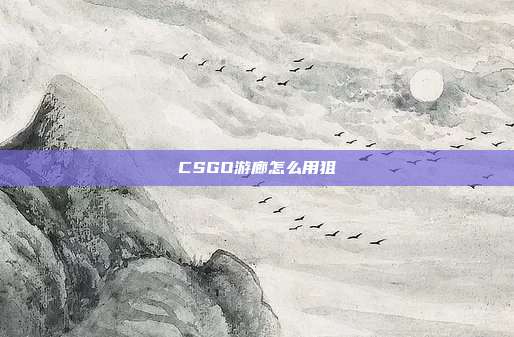 CSGO游廊怎么用狙