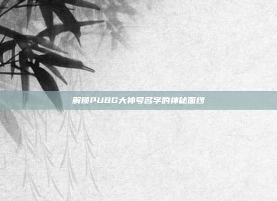 解锁PUBG大神号名字的神秘面纱