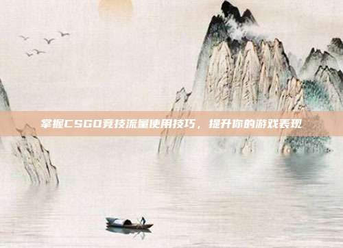 掌握CSGO竞技流量使用技巧，提升你的游戏表现