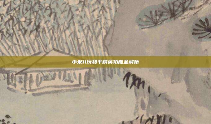 小米11玩和平精英功能全解析