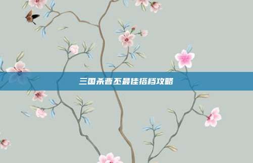 三国杀曹丕最佳搭档攻略