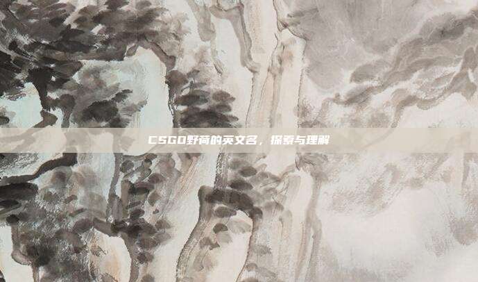 CSGO野荷的英文名,探索与理解