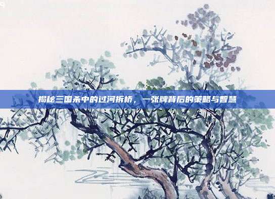 揭秘三国杀中的过河拆桥,一张牌背后的策略与智慧