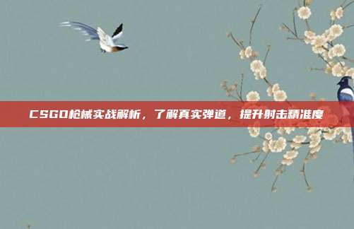 CSGO枪械实战解析,了解真实弹道,提升射击精准度