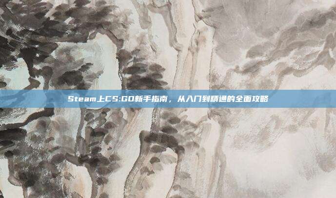 Steam上CS:GO新手指南,从入门到精通的全面攻略