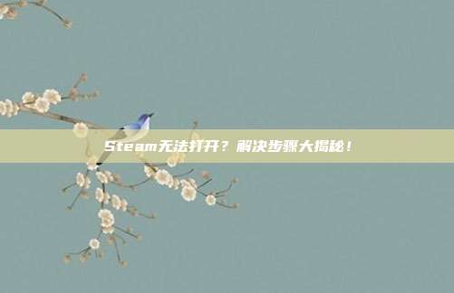 Steam无法打开？解决步骤大揭秘！
