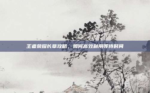 王者荣耀长草攻略，如何高效利用等待时间