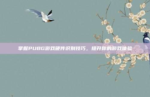掌握PUBG游戏硬件识别技巧，提升你的游戏体验