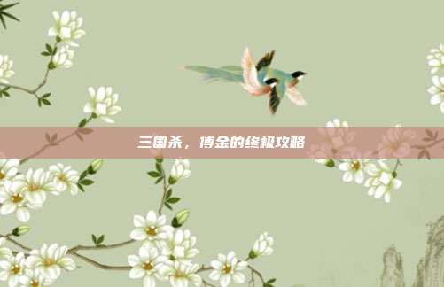 三国杀,傅金的终极攻略