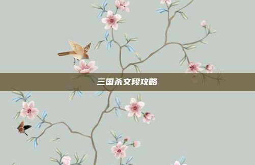 三国杀文段攻略