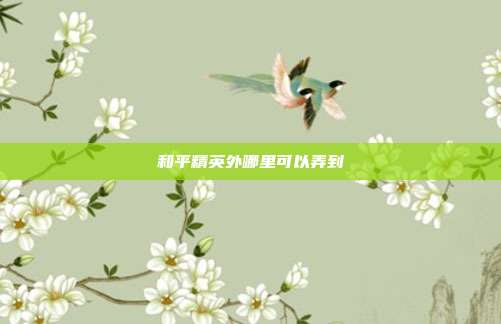 和平精英外哪里可以弄到