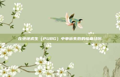 在绝地求生(PUBG)中申诉失败的惨痛经历