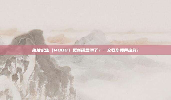 绝地求生（PUBG）更新硬盘满了？一文教你如何应对！