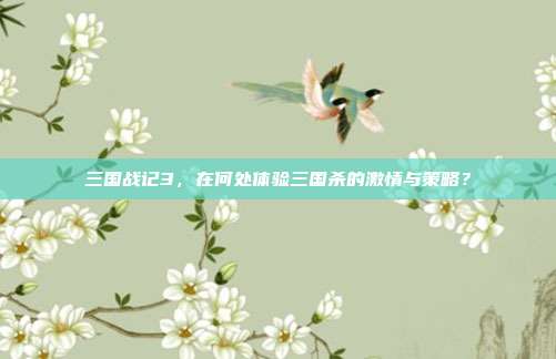 三国战记3，在何处体验三国杀的激情与策略？