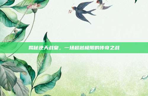 揭秘逆天战皇,一场超越极限的传奇之战