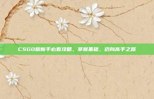 CSGO版新手必看攻略,掌握基础,迈向高手之路