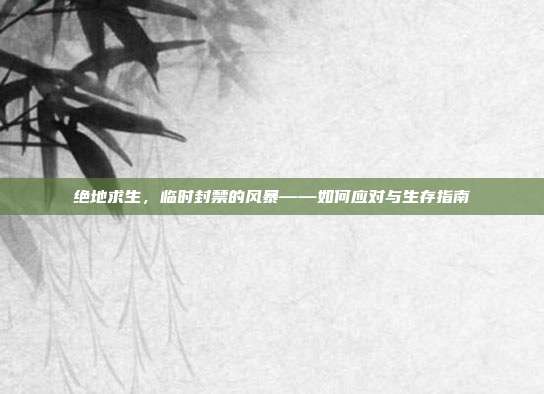 绝地求生，临时封禁的风暴——如何应对与生存指南