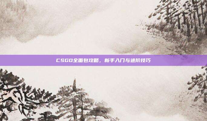 CSGO全面包攻略，新手入门与进阶技巧