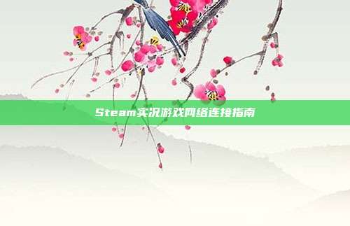 Steam实况游戏网络连接指南