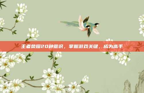 王者荣耀20种意识,掌握游戏关键,成为高手
