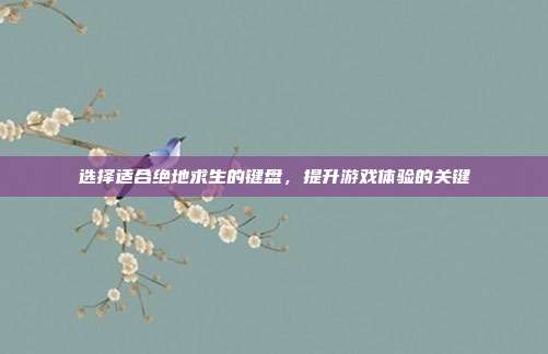 选择适合绝地求生的键盘，提升游戏体验的关键