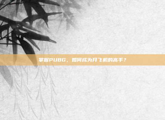 掌握PUBG，如何成为开飞机的高手？