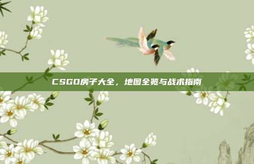 CSGO房子大全，地图全览与战术指南