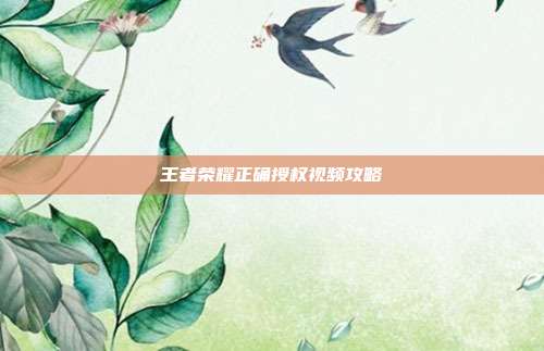 王者荣耀正确授权视频攻略