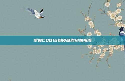 掌握COD16枪皮肤的终极指南