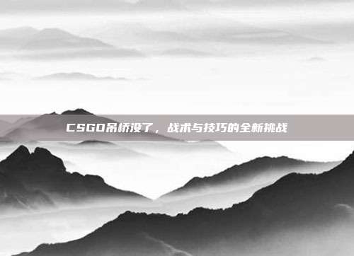CSGO吊桥没了,战术与技巧的全新挑战