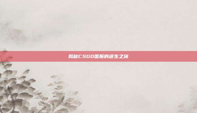 揭秘CSGO国服的诞生之旅