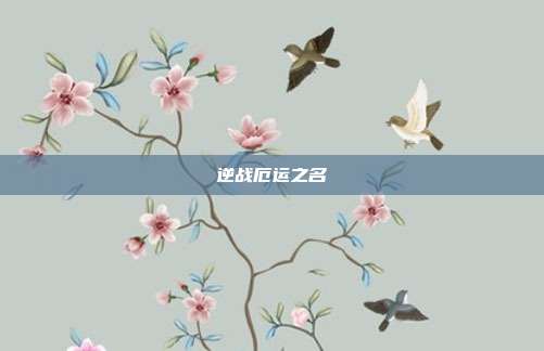 逆战厄运之名