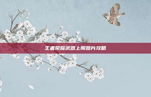 王者荣耀武器上限图片攻略